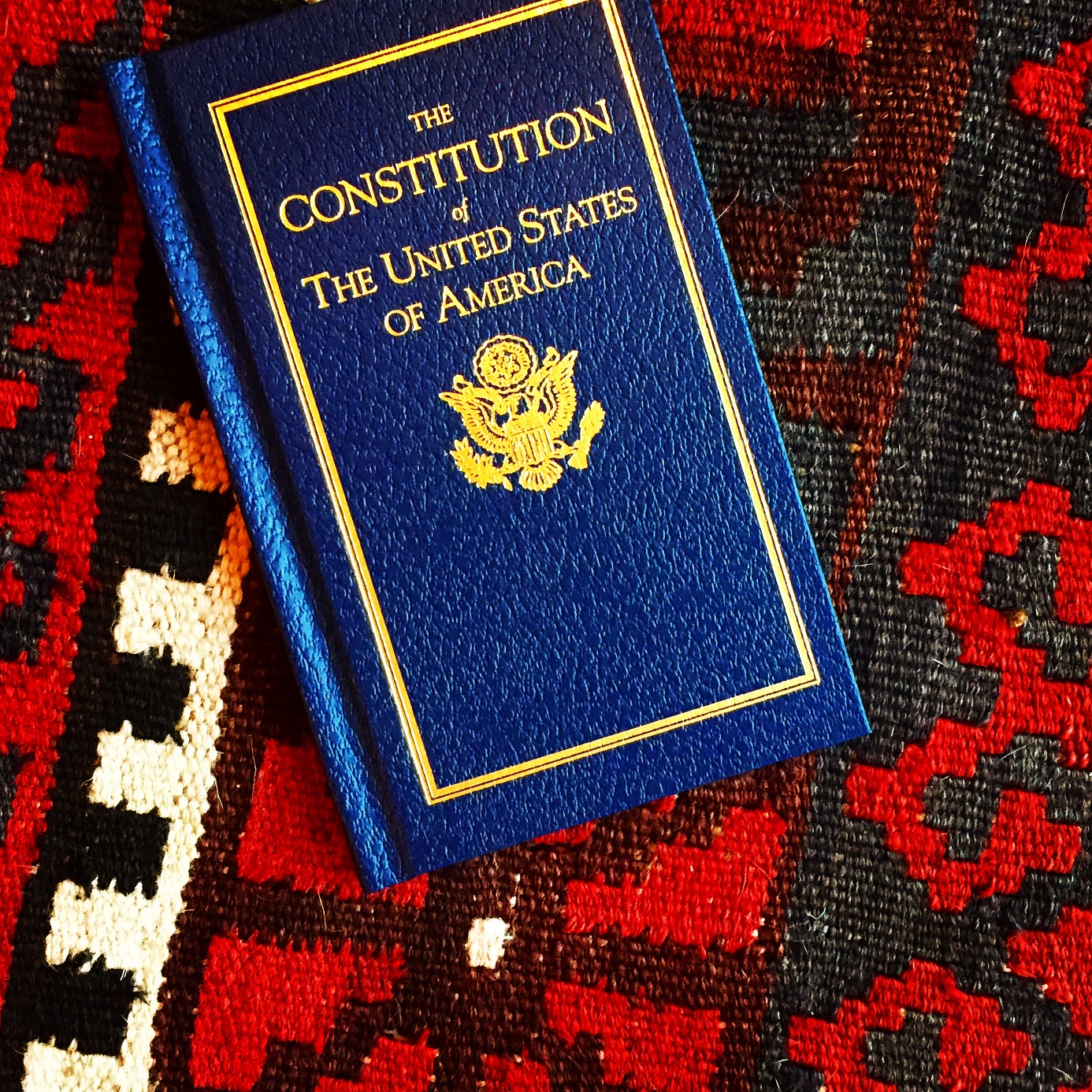 The Constitution, @themartinharo/Instagram