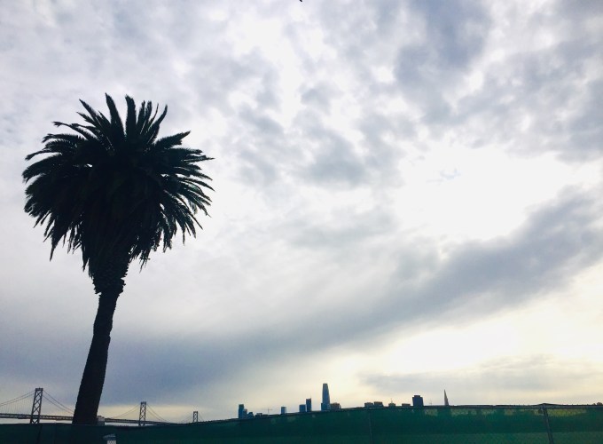 From Treasure Island with Love, Martin Haro