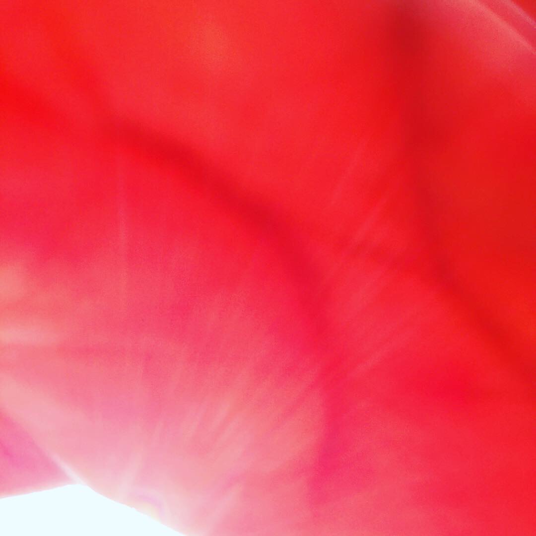 Hand of the King of Cups, @themartinharo/Instagram