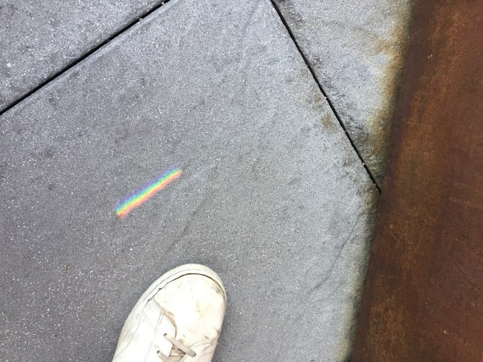 Success Is a Spectrum, Martin Haro