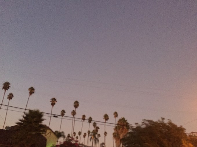 Venice Boulevard, Martin Haro