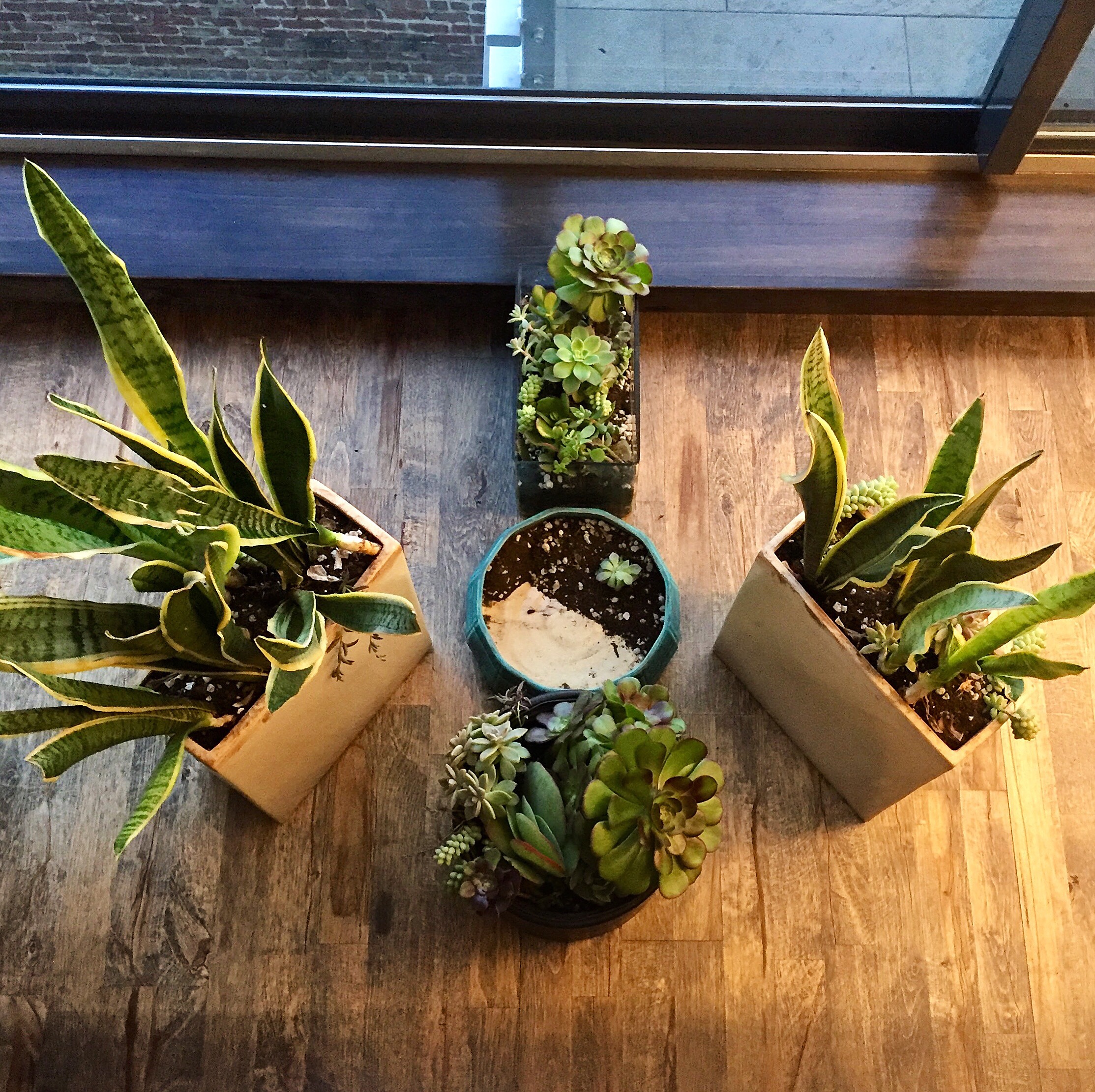 #Pachamoment, @themartinharo/Instagram