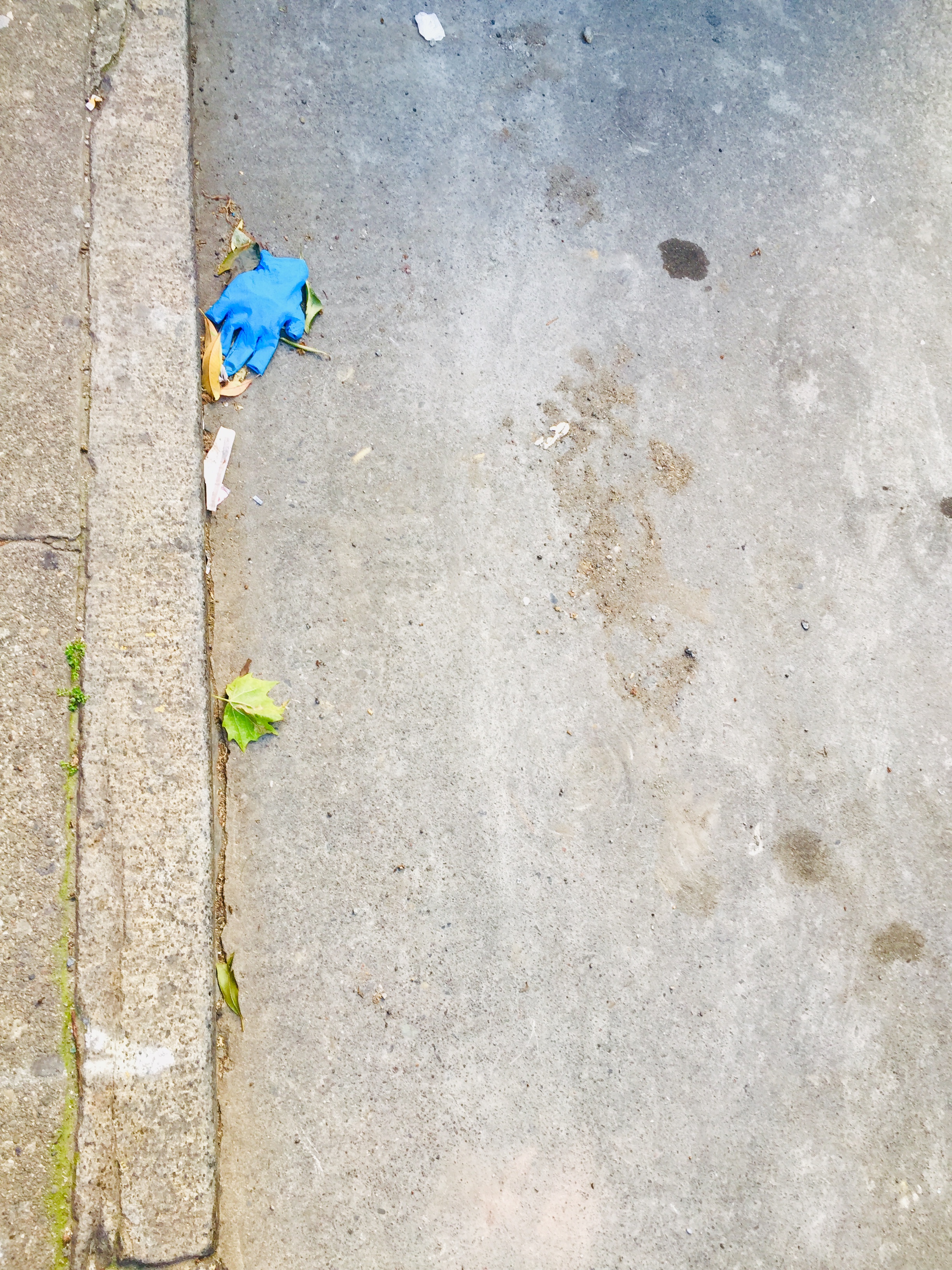 Ungallant Glove, Martin Haro